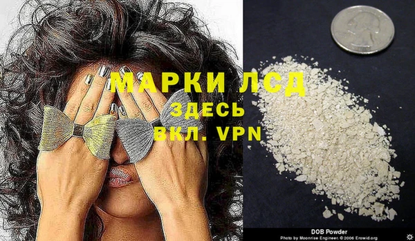 спиды Магас