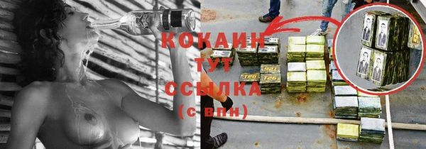 спиды Магас