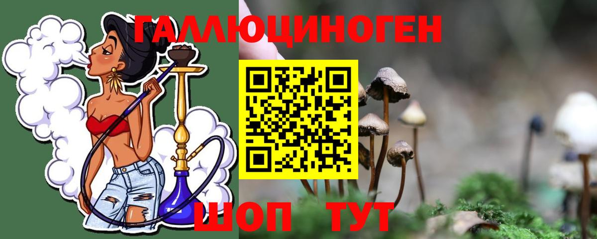 Псилоцибиновые грибы GOLDEN TEACHER Татарск